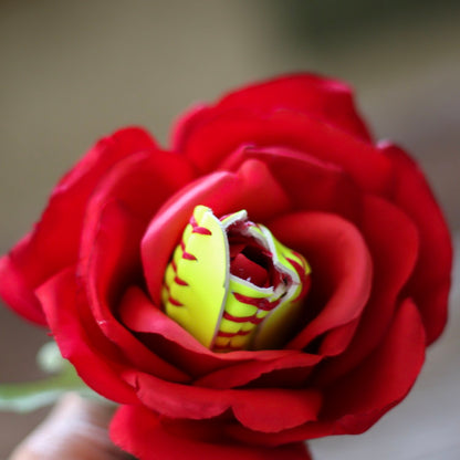 SOFTBALL ROSE BLOOM